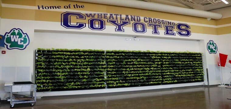 Living Wall
